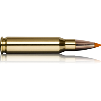 Náboj Norma 308 WIN TipStrike 11,0g/170grs