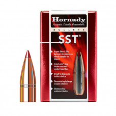 Strela Hornady, kal. 7,62 mm/.310, 123 gr, SST