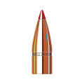 Strela Hornady, kal. 7,62 mm/.310, 123 gr, SST