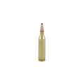 .243Win. Federal Power-Shok 100gr/6,48g SP (243B)
