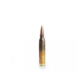 GGG .223Rem. 55gr/3,56g FMJ (GPR11)