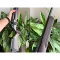 Hammerli Force B1 22 20