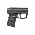 P2P PGS Personal Guard System
