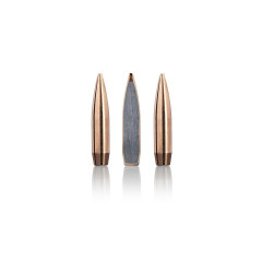 Sako .223Rem. 4,08g SP TRG Defense