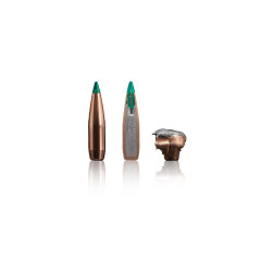 Sako .30-06Spr. 10,7g TSP Gamehead Pro Sako .30-06Spr. 10,7g TSP Gamehead Pro