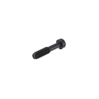 Skrutka pre Ruger TakeDown (B00024)